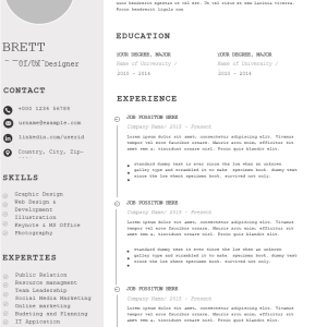 UI IX Designer Resume Editable Word Template