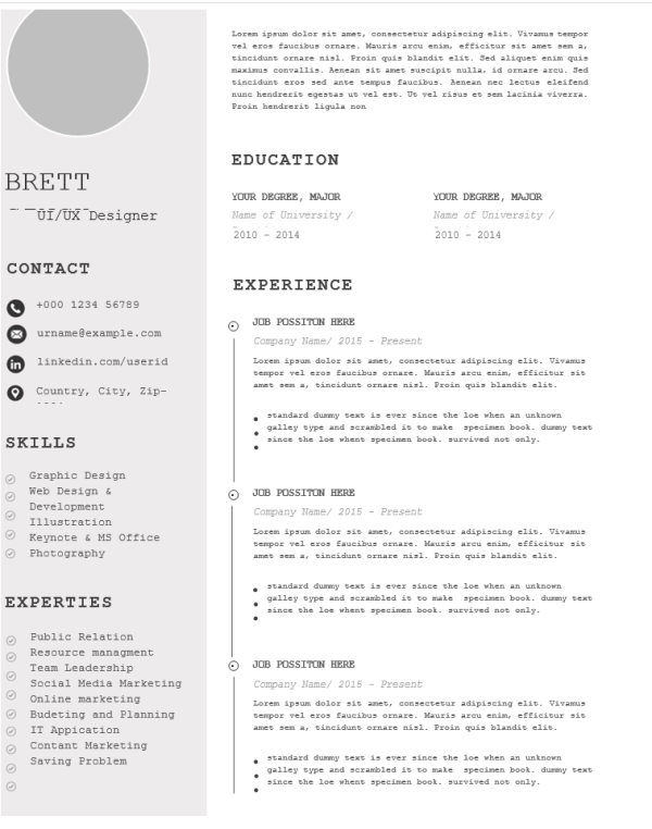 UI IX Designer Resume Editable Word Template