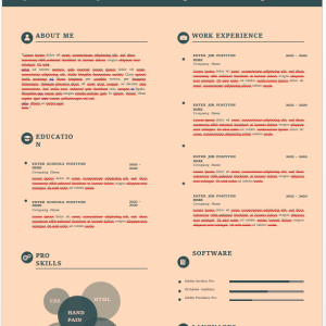 Sales & Marketing Business Resume Editable Word File
